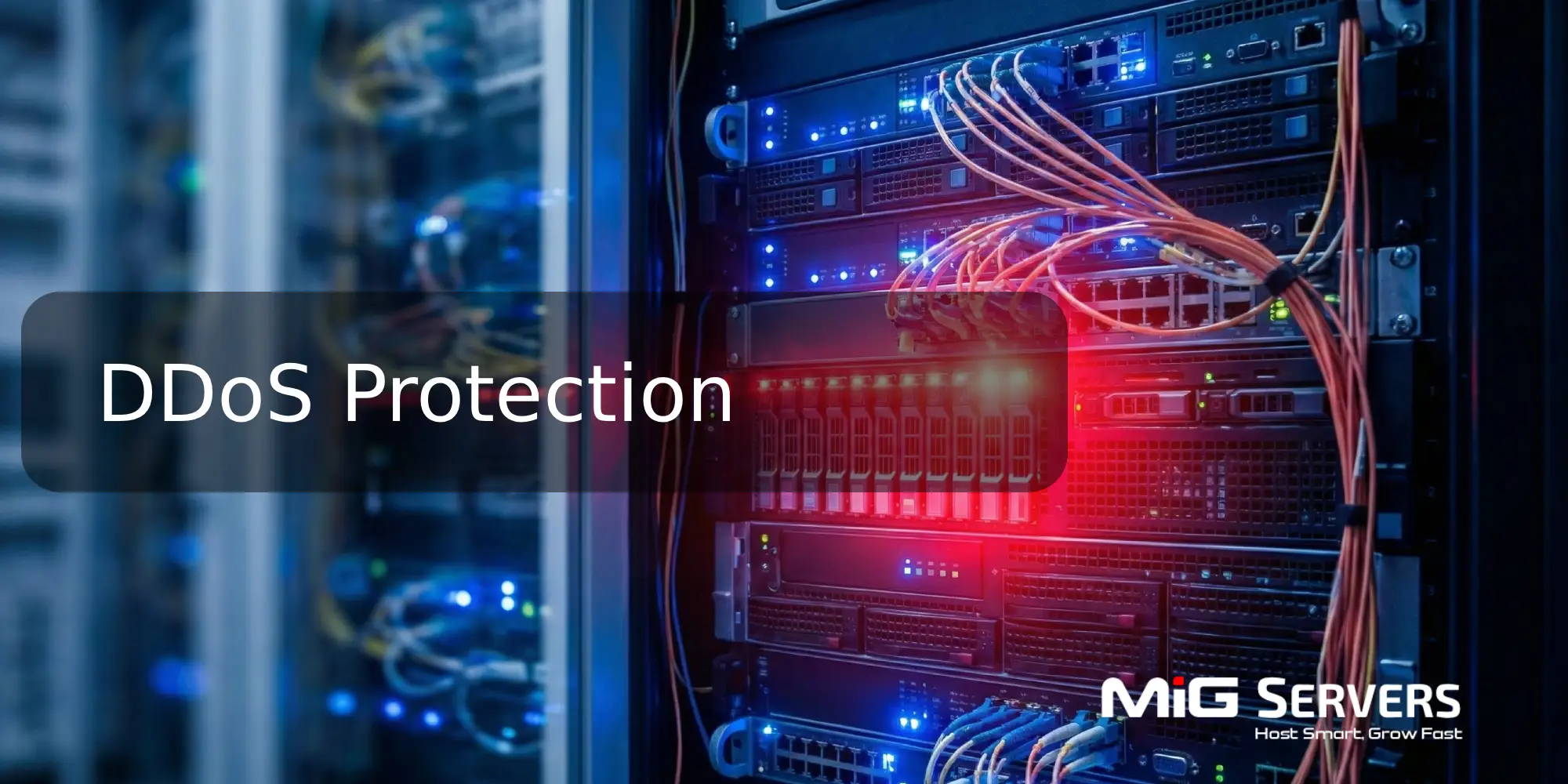 dedicated server vs cloud server